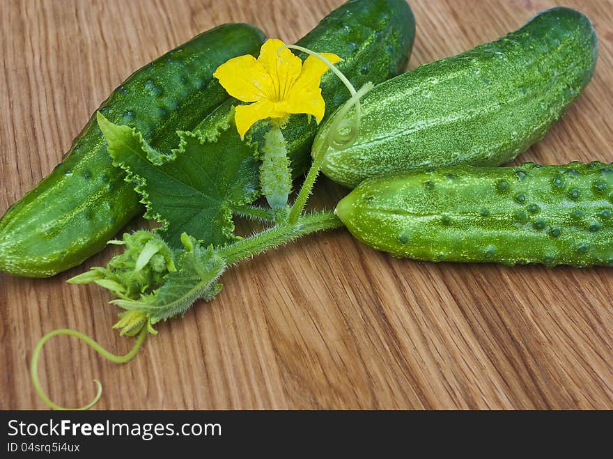 Some cucucmbers with flower on wood plate. Some cucucmbers with flower on wood plate