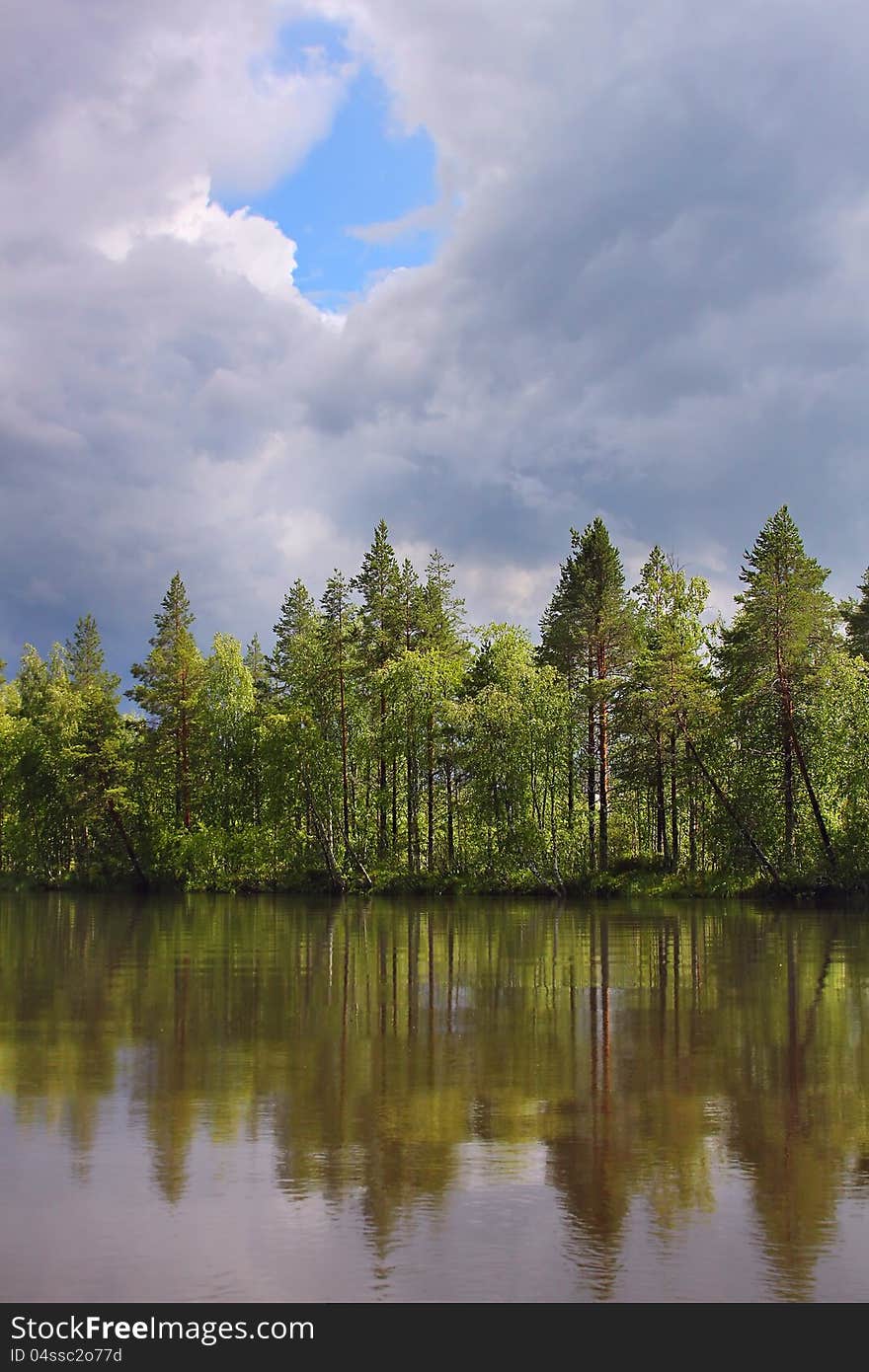 Beautiful Forest On The Lake