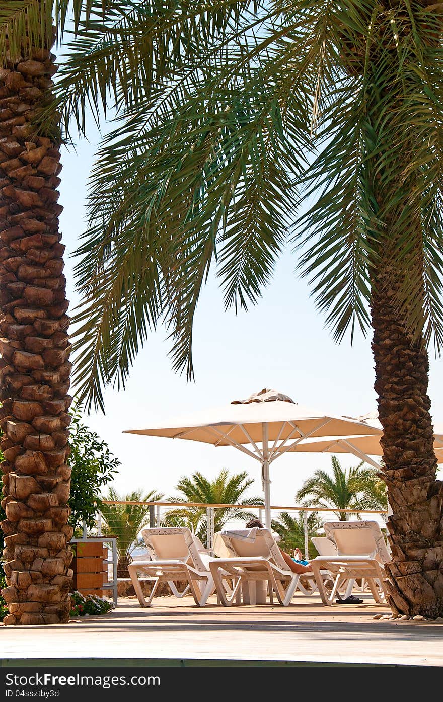 Beach chairs and umbrellas to relax by the pool in a palm grove, the fragment. Beach chairs and umbrellas to relax by the pool in a palm grove, the fragment