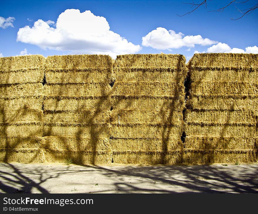 Hay bales dry in the sunlight. Hay bales dry in the sunlight