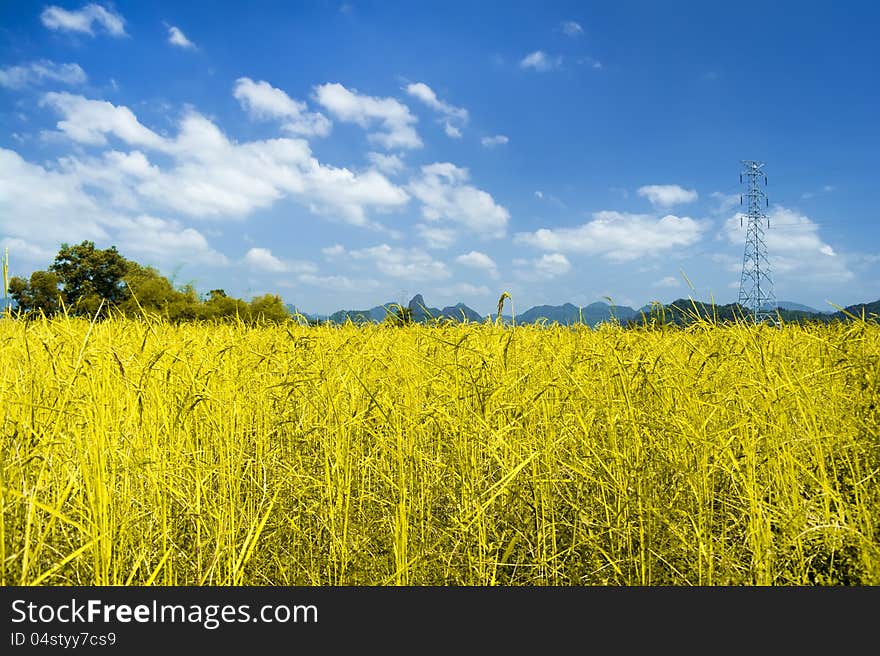 The field is located 8 km northeast of Thakhek near Tham Xang Cave. The field is located 8 km northeast of Thakhek near Tham Xang Cave.