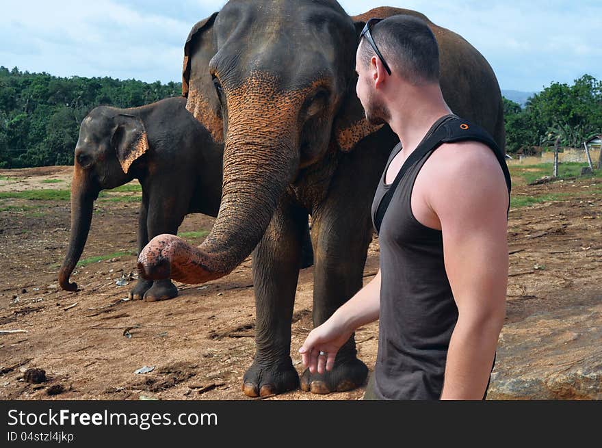 Man stands near to elephant at one meter. Man stands near to elephant at one meter