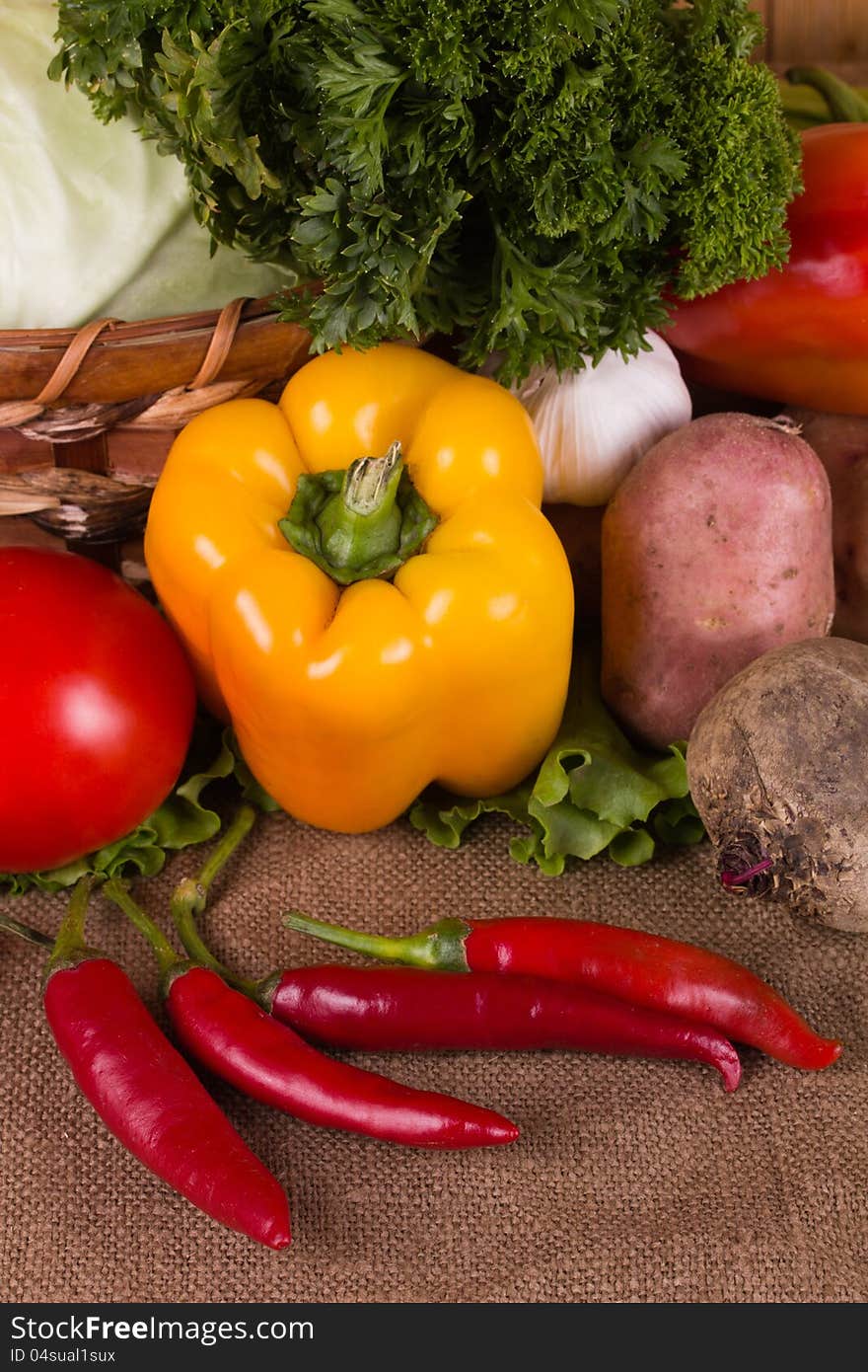 Fresh vegetables gathered from the garden