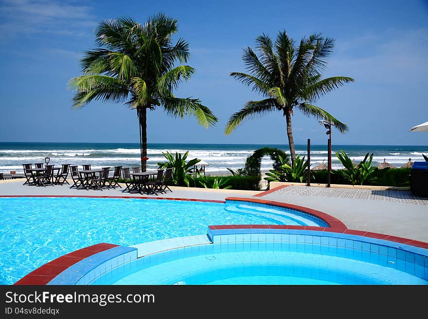 Palm Trees and  Swimming Pool. Palm Trees and  Swimming Pool