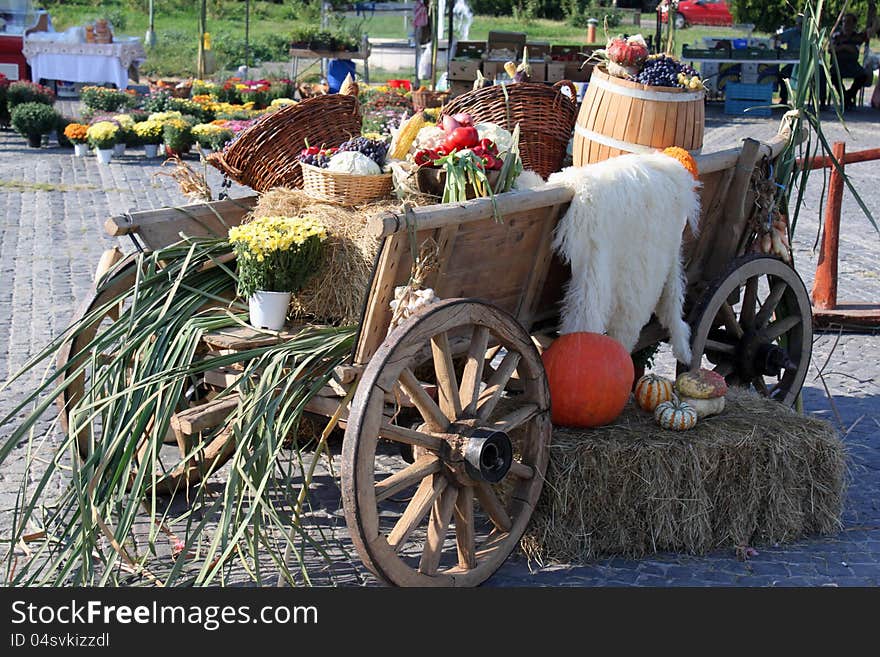 Autumn vegetables