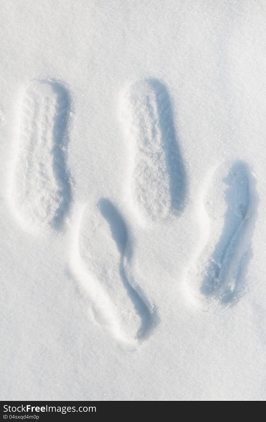 Traces of men and women in the snow. Traces of men and women in the snow