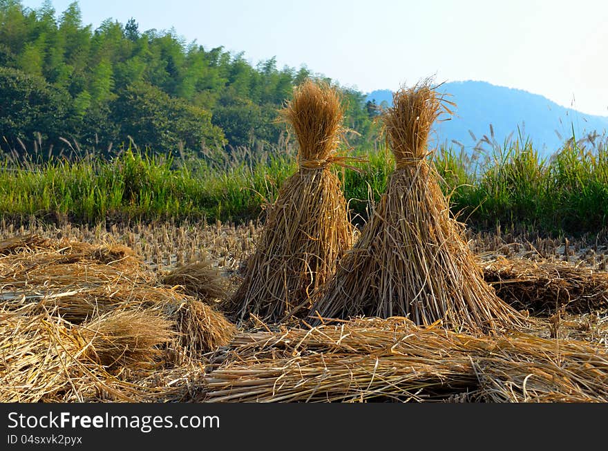 Two bales of hay