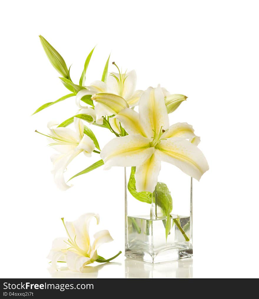 Bouquet of white lilies in glass vase on white background