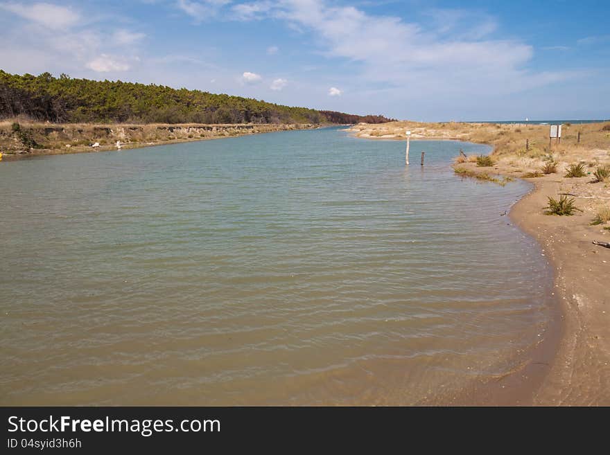 Mouth Of Bevano