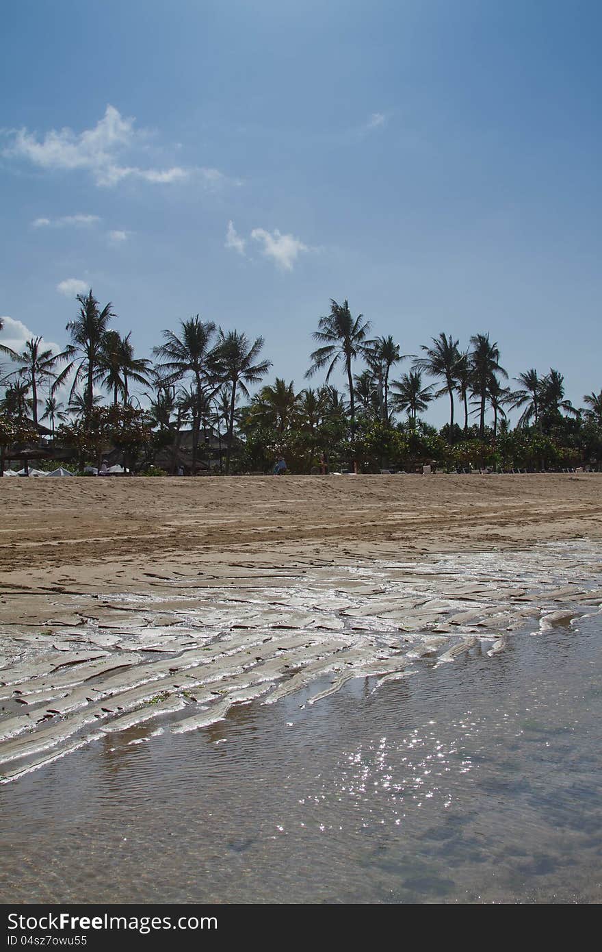 Sandy beach on a sunny day.