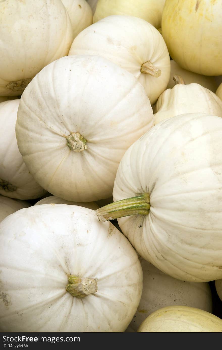 Ghost Pumpkins In Bin Farmers Store