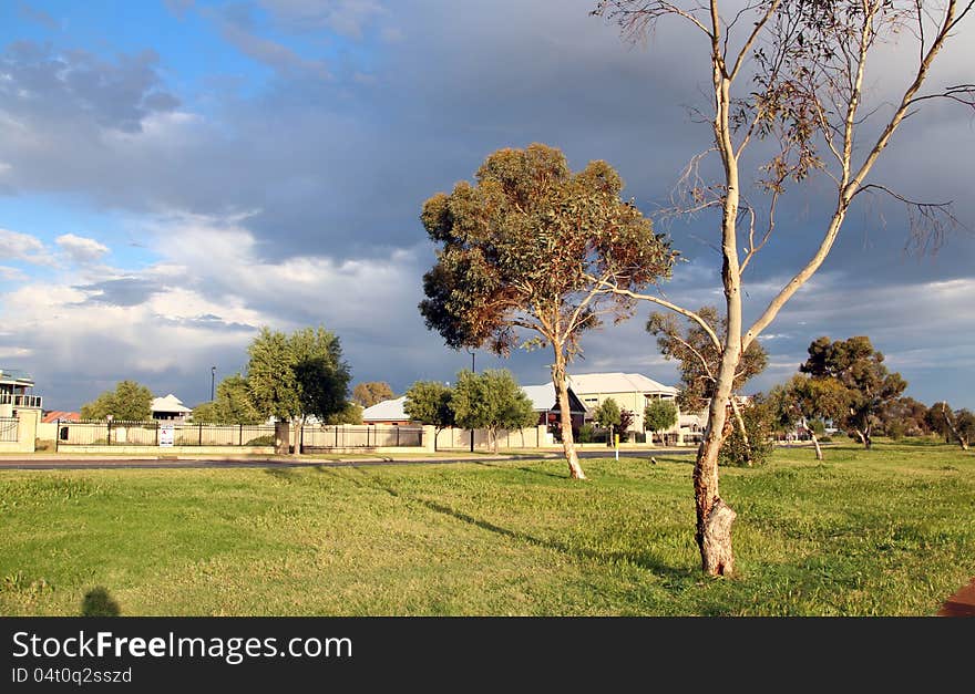 A Stormy Parkland Landscape