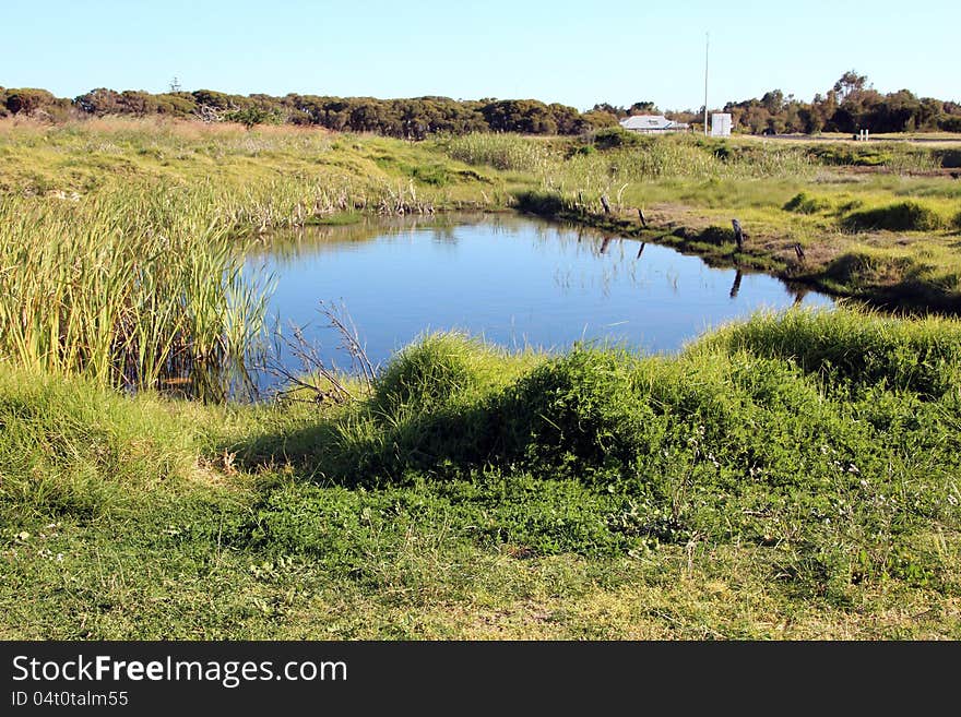 The peaceful waterhole in the lush green grassy field reflects the blue Australian sky on a beautiful spring morning. The peaceful waterhole in the lush green grassy field reflects the blue Australian sky on a beautiful spring morning.