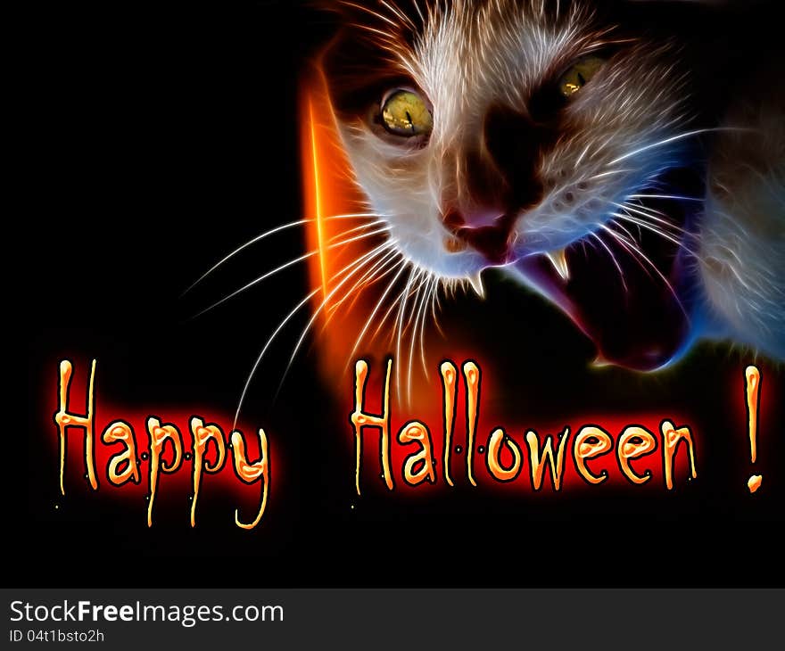 Angry and scary cat in the darkness of Halloween. Angry and scary cat in the darkness of Halloween