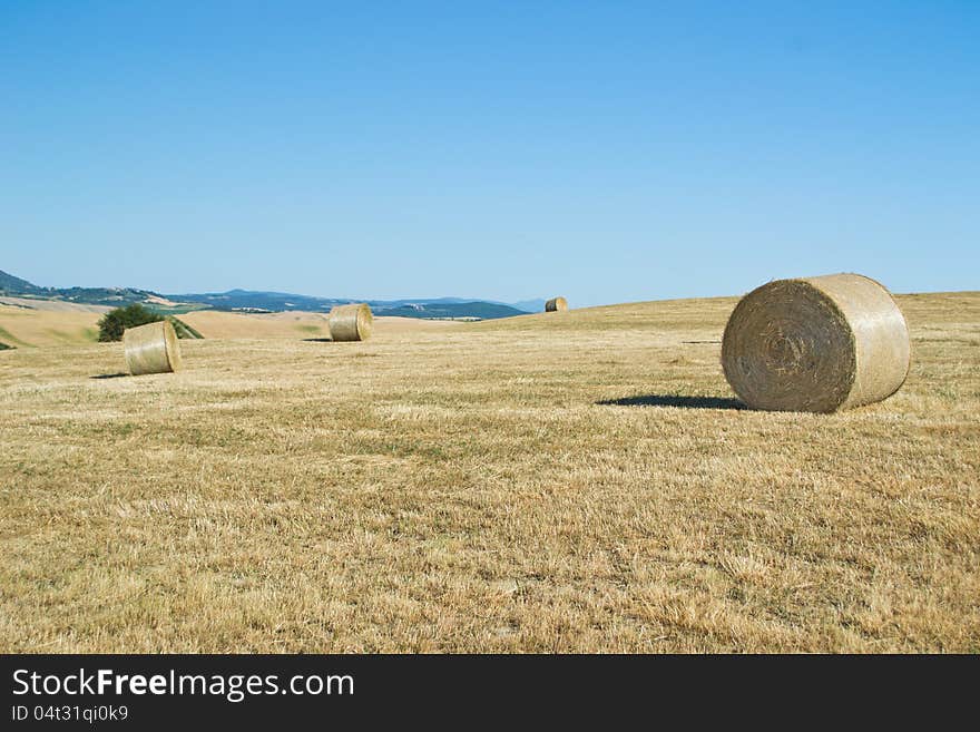 Hay bales in Tuscany &x28;Italy&x29; field