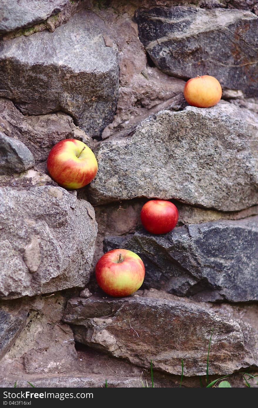 Background with red apples on stones. Background with red apples on stones