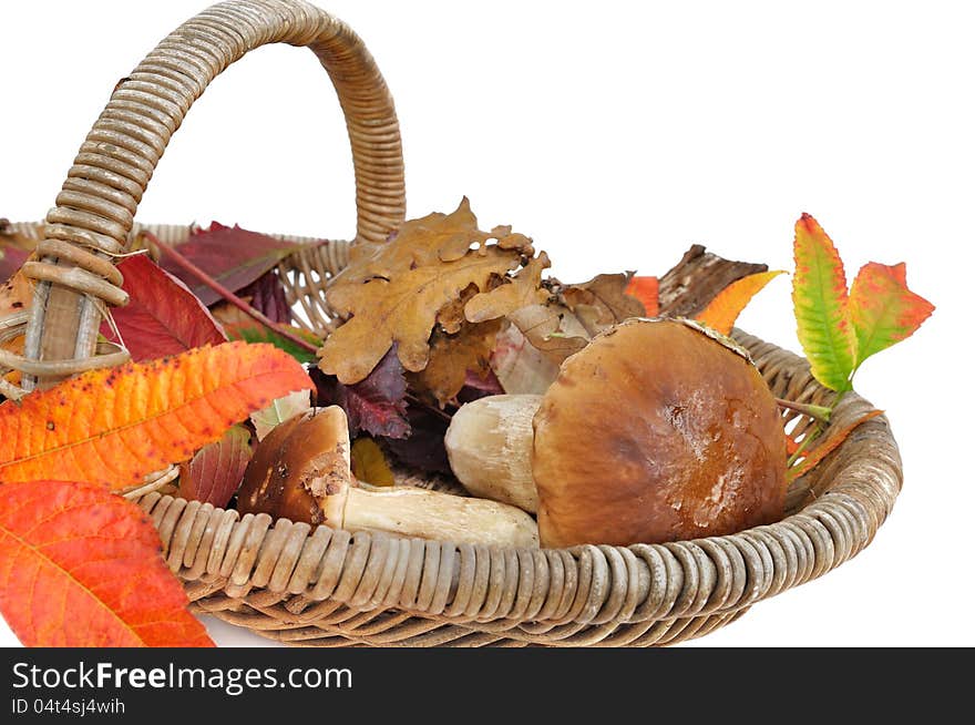 Mushrooms in a  wicker basket among colorful leaves. Mushrooms in a  wicker basket among colorful leaves