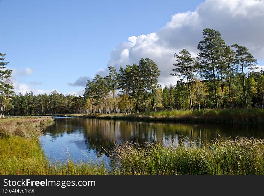 Calm lake in the forest at autumn