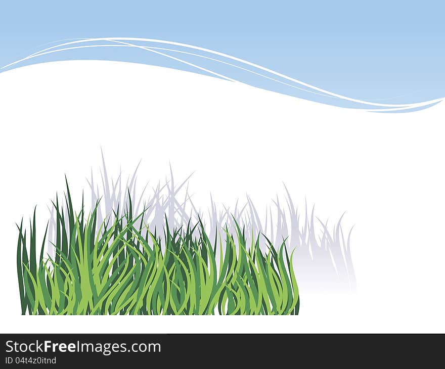 Grass, isolated on White background