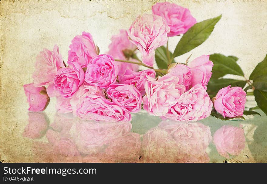 Pink roses on grunge background