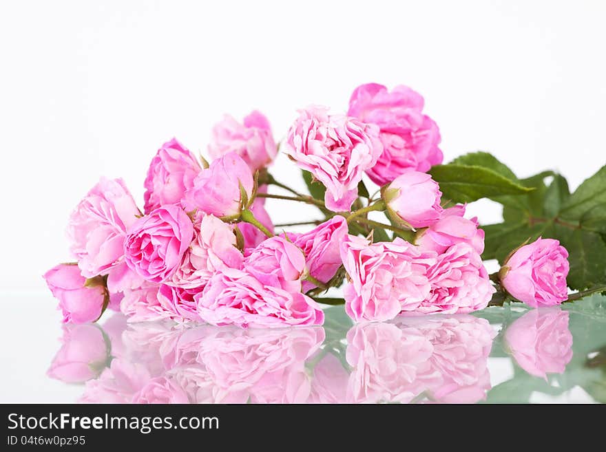 Bouquet of pink roses isolated on white