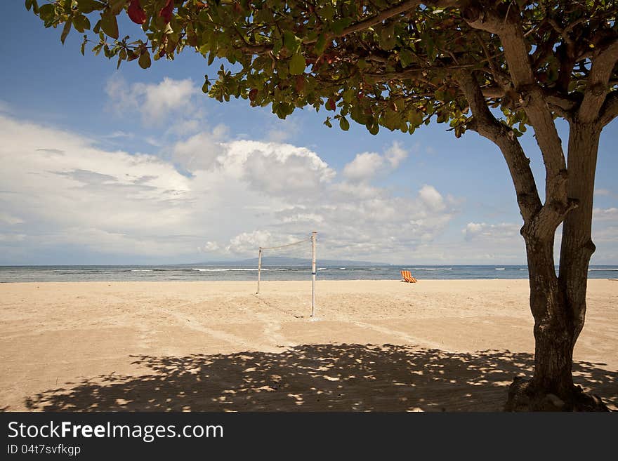 Shadow of a big tree at a beach