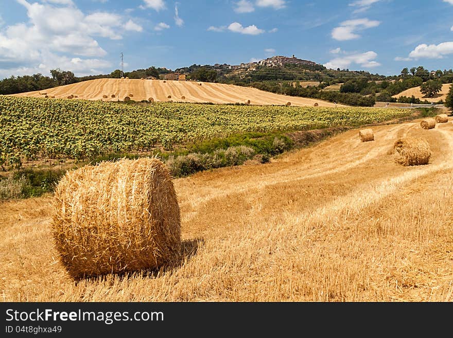 Tuscan countryside