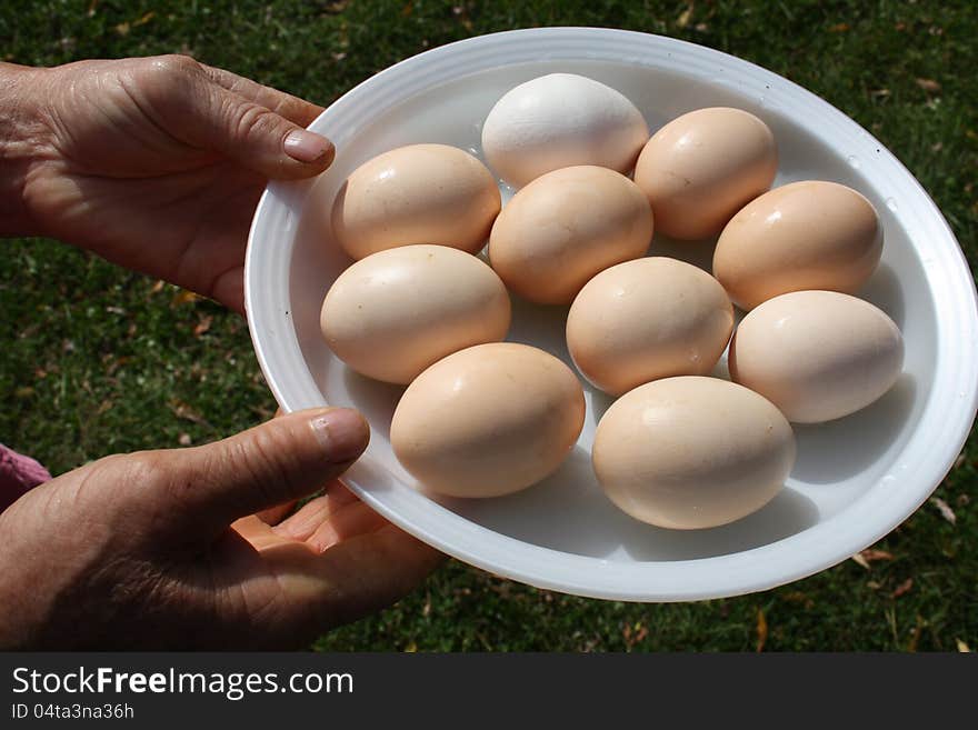 Dish with ten large eggs.