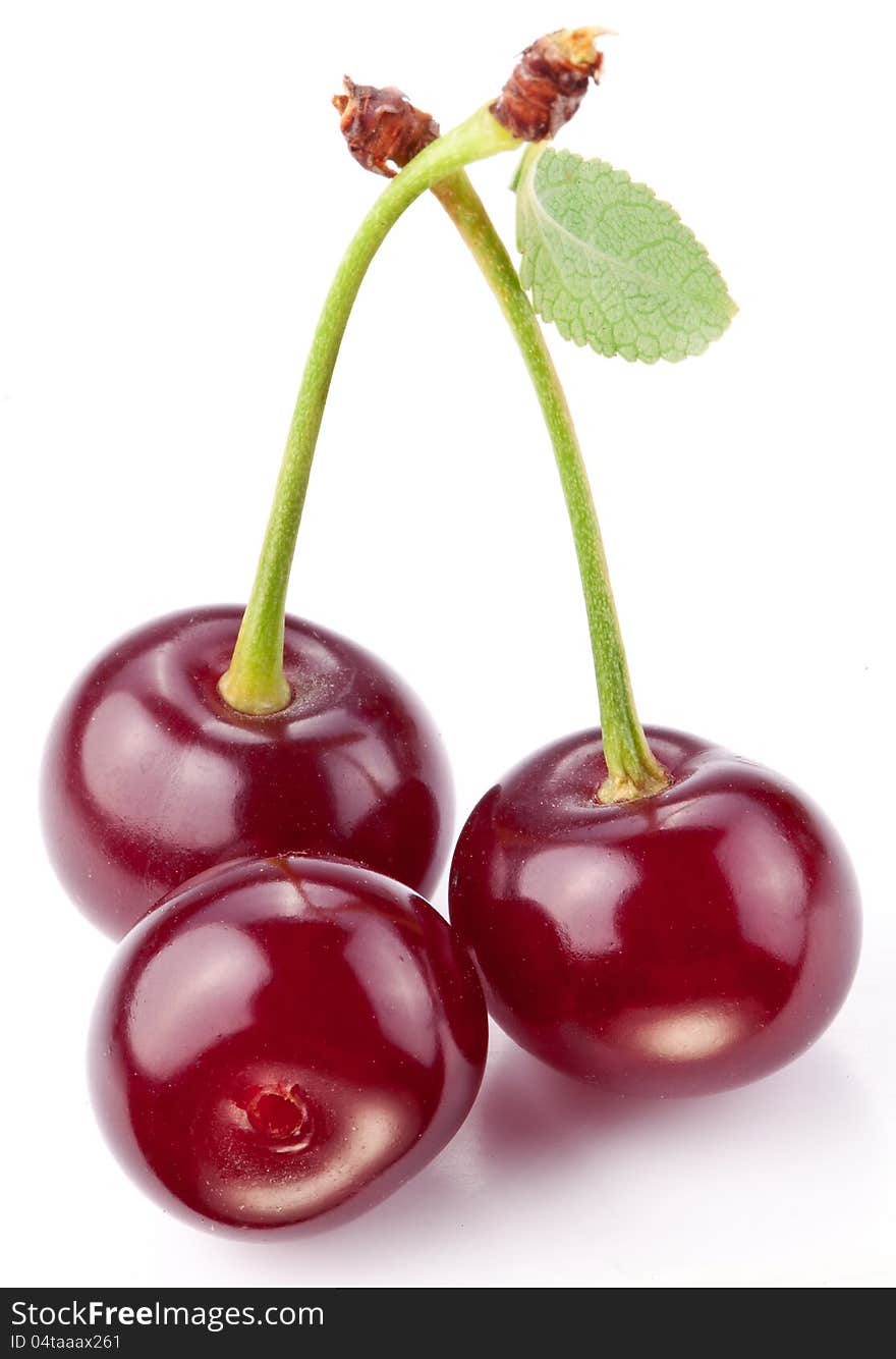 Cherries with leaves on a white background. Cherries with leaves on a white background.