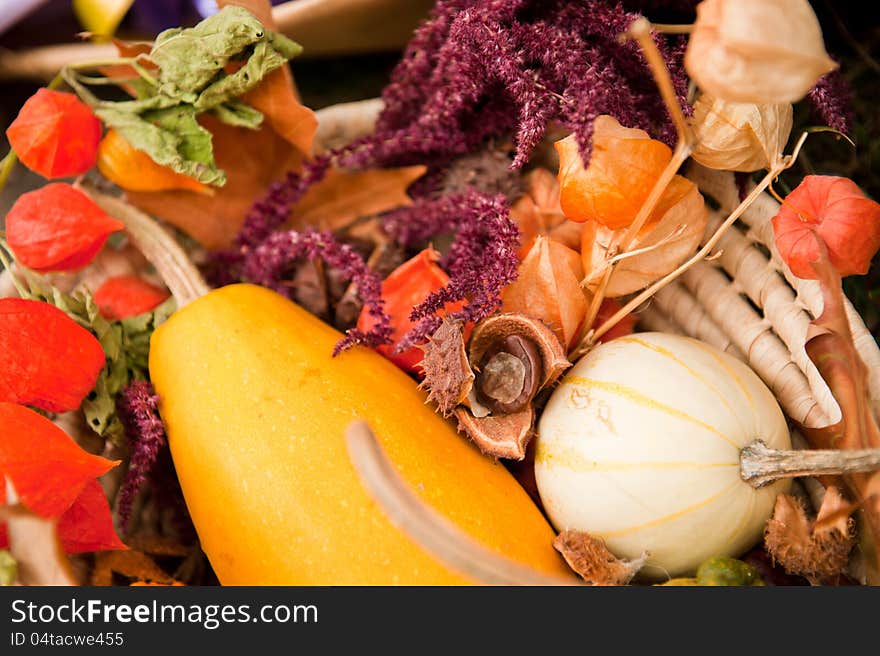 Close up of a basket with colored pumpkins. Close up of a basket with colored pumpkins