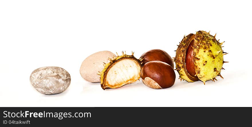 Horse-chestnuts and some pebble on white background. Horse-chestnuts and some pebble on white background