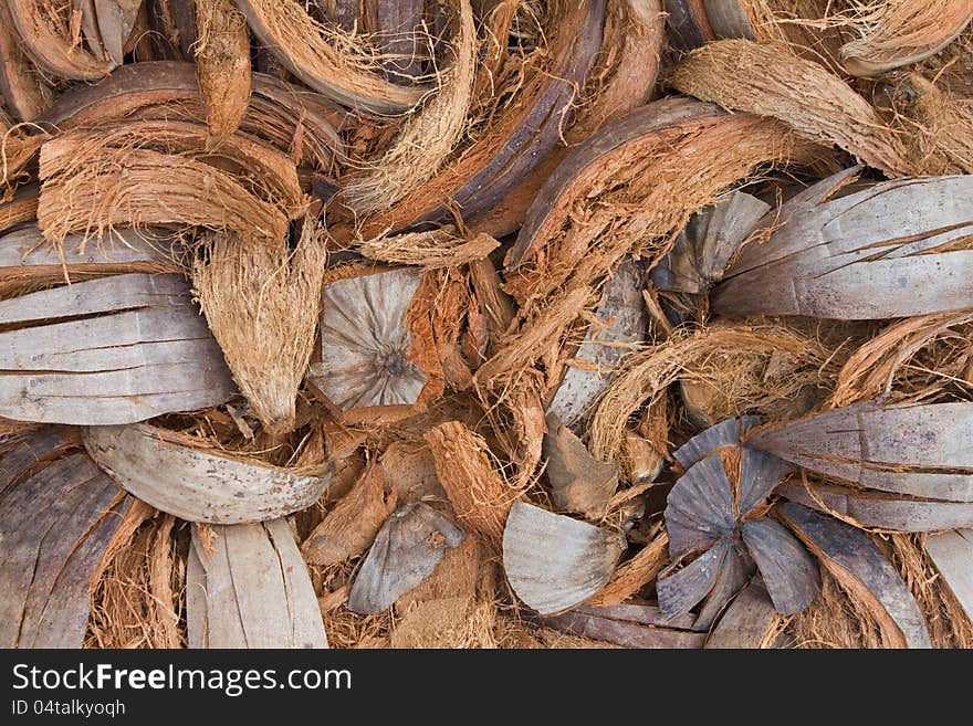 Background of the many spathe.