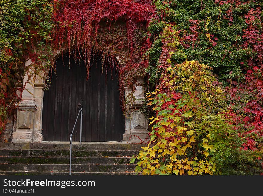 Old wooden door surrounded by colorful fall leaves