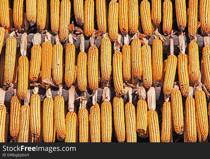 Corn drying