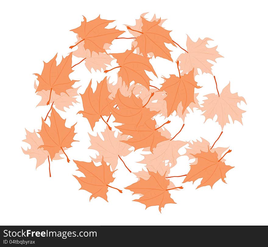 Illustration of colorful autumn maple leaves on white.