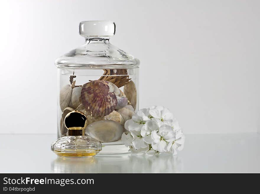 Shells and parfume