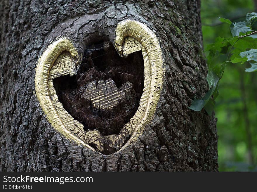 A heart-shaped wound resulted from the removal of a branch in a tree trunk. It was gold-plated by a loving couple as a reminder. A heart-shaped wound resulted from the removal of a branch in a tree trunk. It was gold-plated by a loving couple as a reminder.