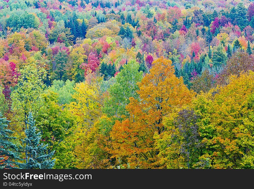 Burke Mountains covered with foliage colors.