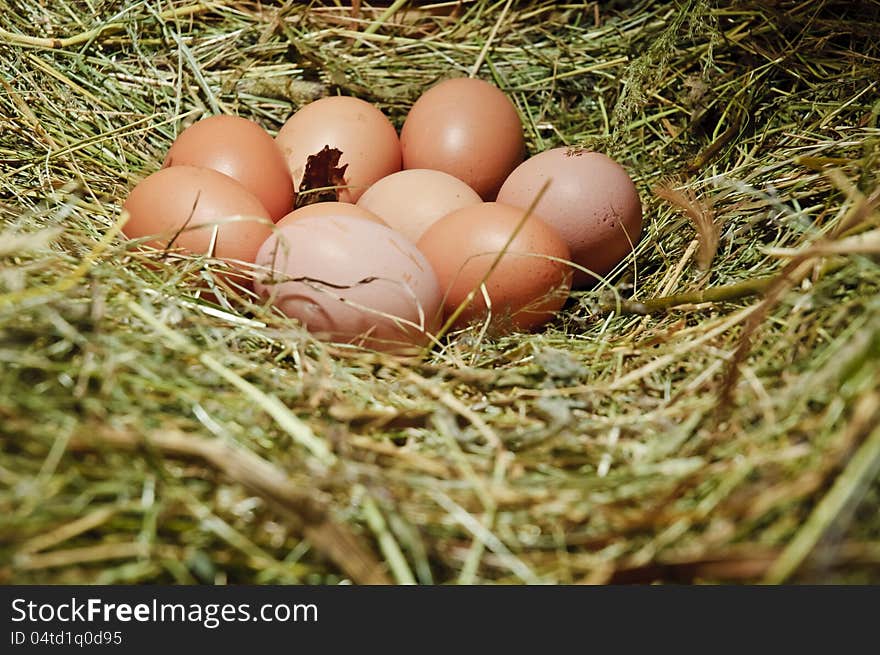 Hens' eggs in a nest surrounded by hay. Hens' eggs in a nest surrounded by hay.