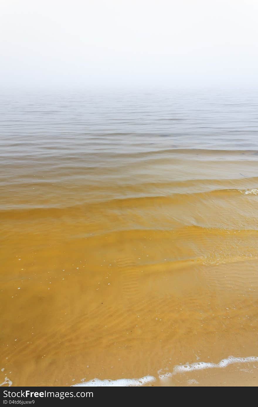 Beach Fog