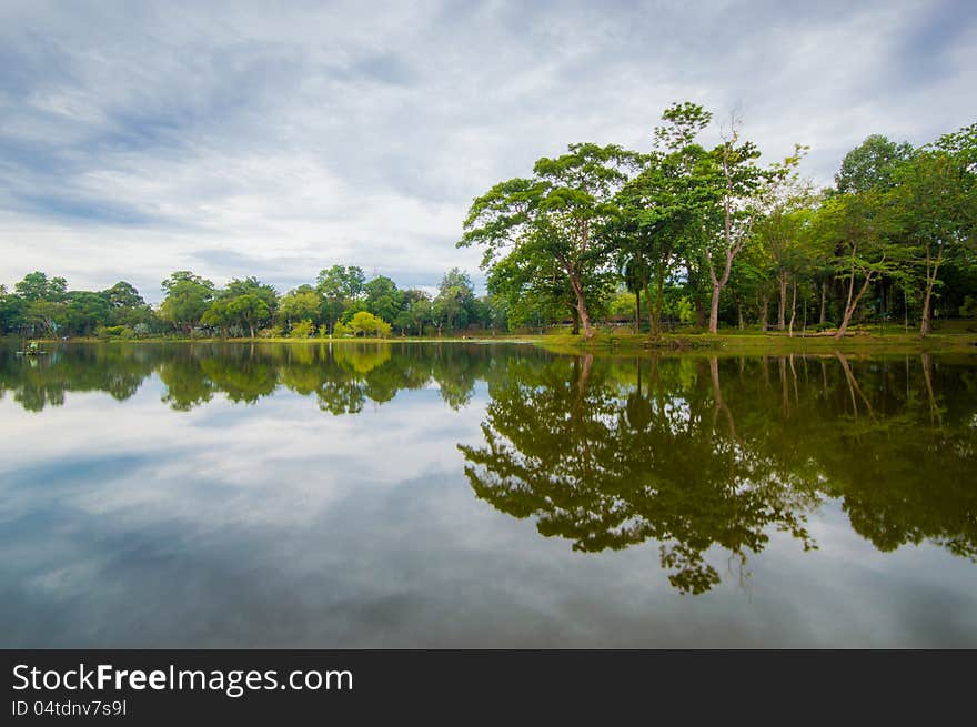 Green tree park with reflection on the water