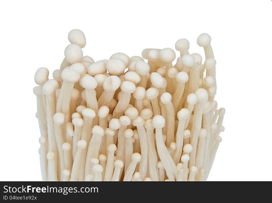 Bunch Of Enoki Mushrooms.