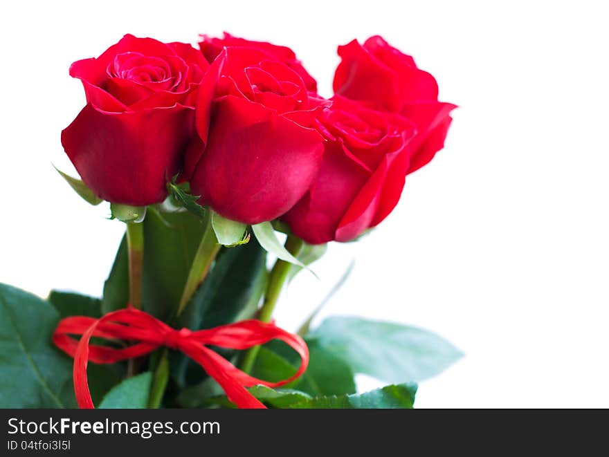 Bouquet of red roses on a white background