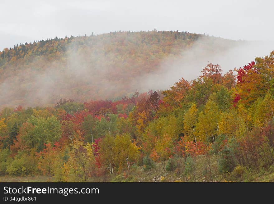 The White Mountains covered with fall foliage.