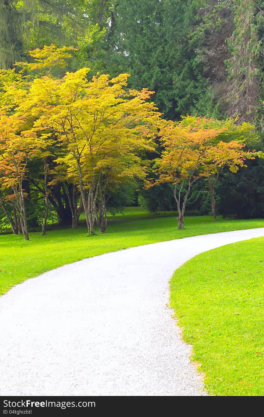 Path in a Peaceful Landscape Garden. Vertically.