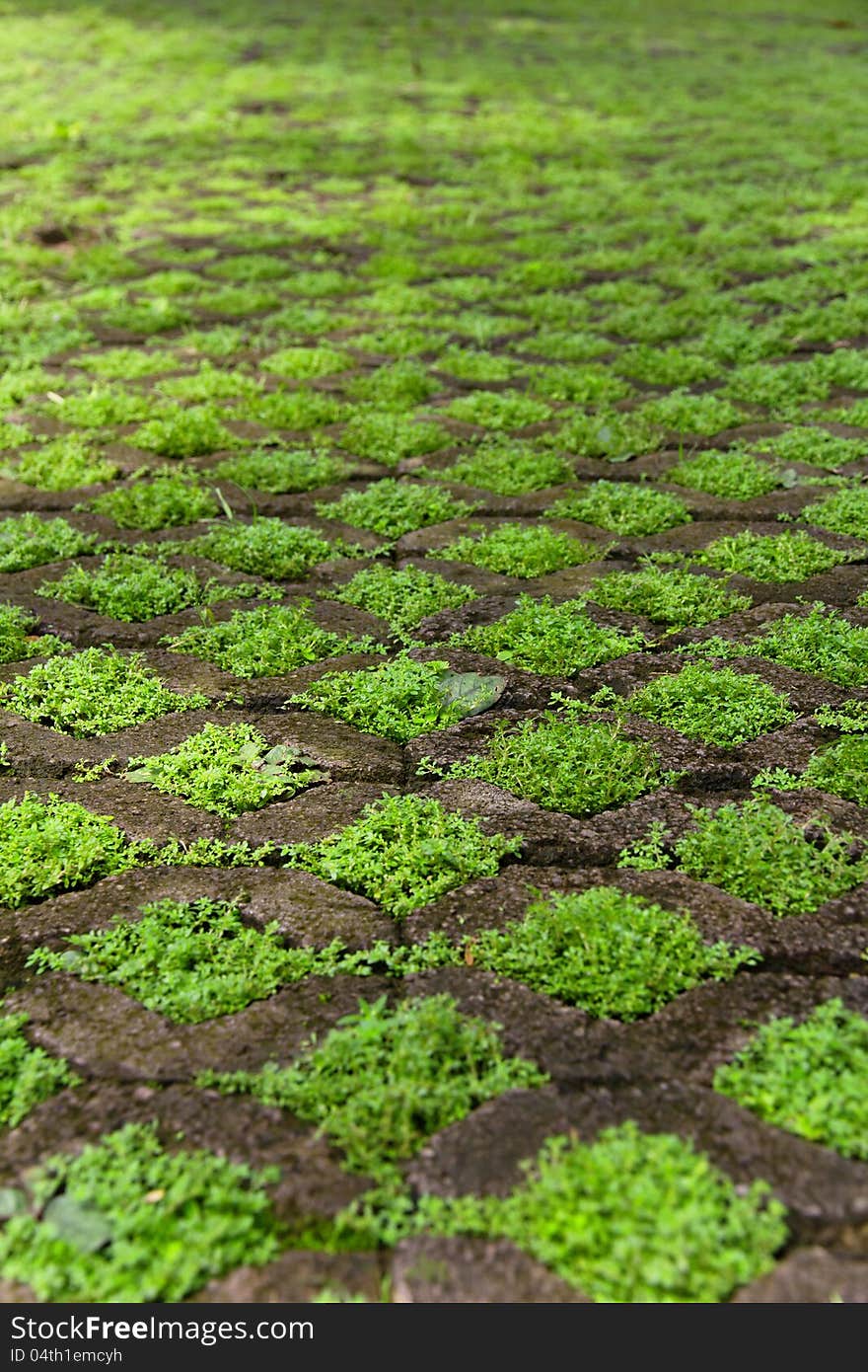 Close up of grass floor block