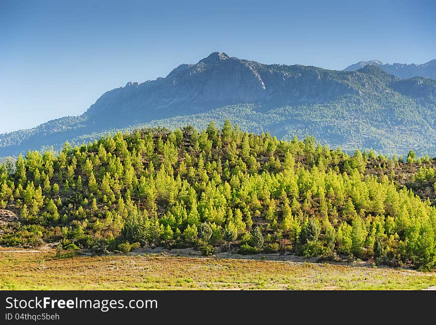 Green hill against mountaintop.