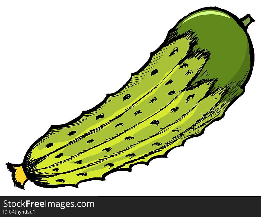 Cucumber