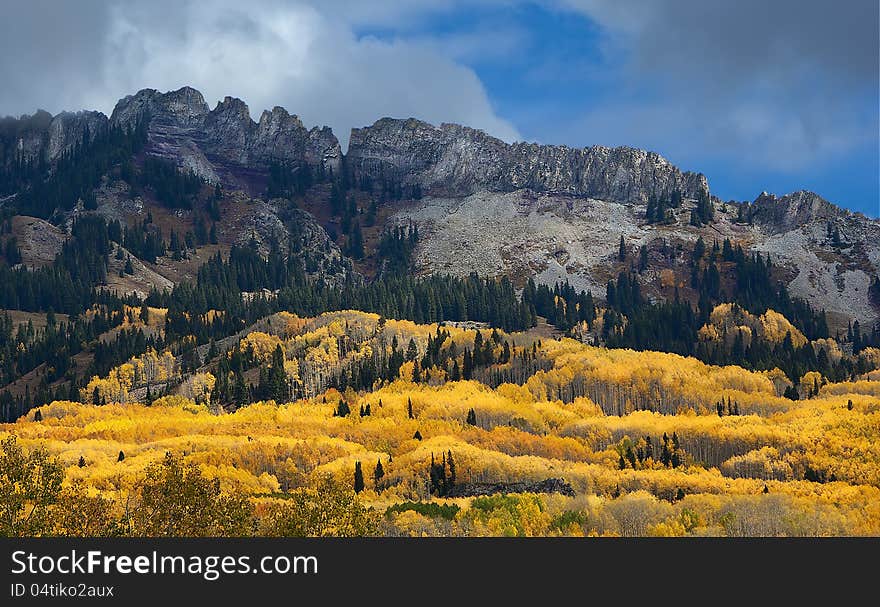 Stiking rugged rocky mountainside with some pines and many beautiful yellow and gold aspen trees at the lower levels and some blue sky and fluffy clouds above. Stiking rugged rocky mountainside with some pines and many beautiful yellow and gold aspen trees at the lower levels and some blue sky and fluffy clouds above.