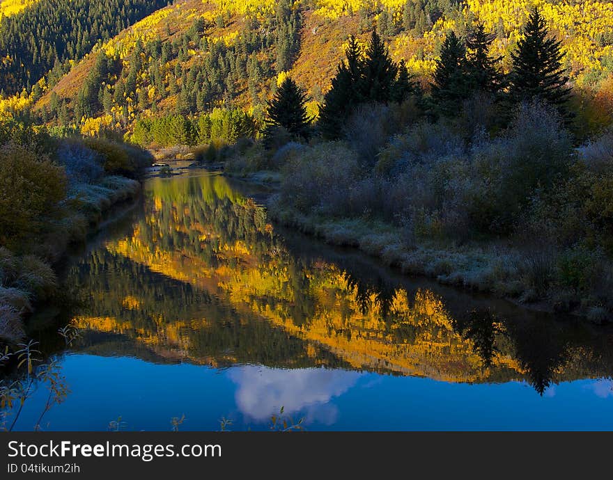 Calm mountain stream in shadow, surrounded by frosty bushes and reflecting brilliant gold, yellow, and orange fall mountainside of pines, bushes, and aspens. Calm mountain stream in shadow, surrounded by frosty bushes and reflecting brilliant gold, yellow, and orange fall mountainside of pines, bushes, and aspens.